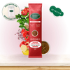 Protein Tomato Pesto